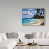 Trademark Fine Art Anthony Casay 'Tropical Beach' Canvas Art, 18x24 ALI20309-C1824GG